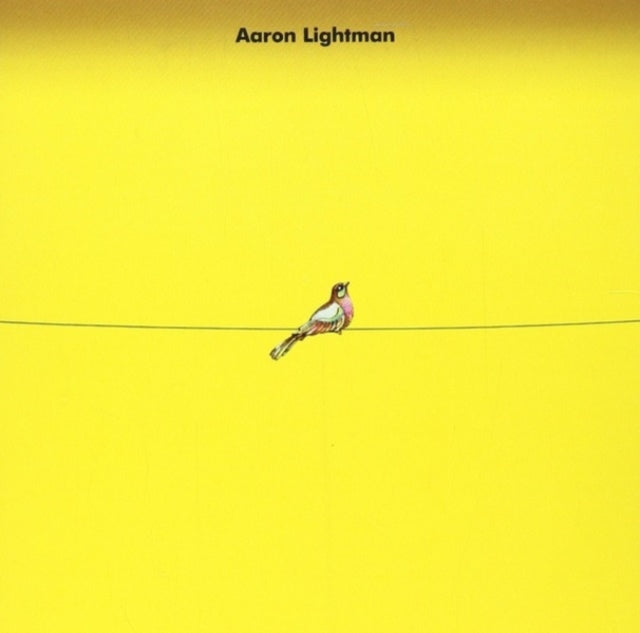 LIGHTMAN, AARON | AARON LIGHTMAN | VINYL RECORD (LP)