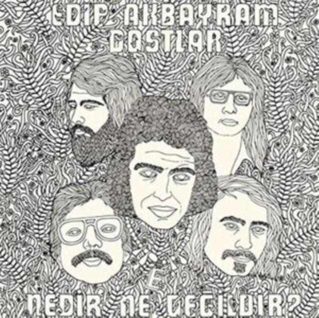 AKBAYRAM,  EDIP / DOSTLAR | NEDIR NE DEGILDIR | VINYL RECORD (LP)
