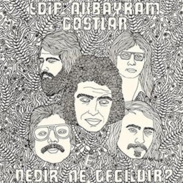 AKBAYRAM,  EDIP / DOSTLAR | NEDIR NE DEGILDIR | VINYL RECORD (LP)