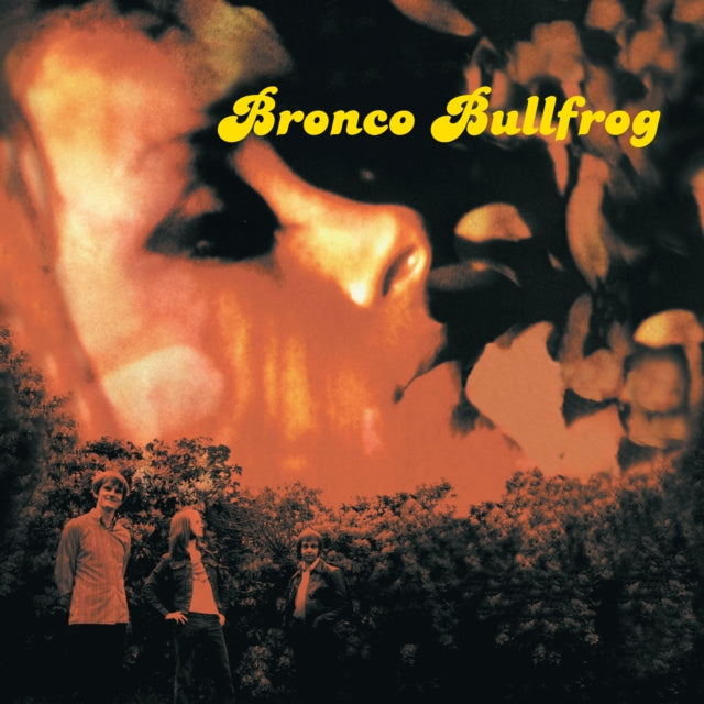 BRONCO BULLFROG | BRONCO BULLFROG (2LP) | VINYL RECORD (LP)