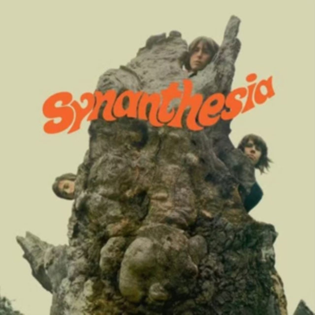 SYNANTHESIA | SYNANTHESIA | VINYL RECORD (LP)