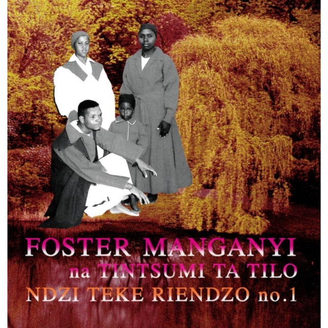 MANGANYI, FOSTER | NDZI TEKE RIENDZO | VINYL RECORD (LP)