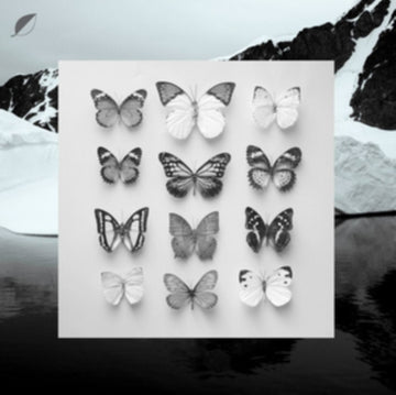 LOEFFLER, CHRISTIAN | YOUNG ALASKA (12IN/7IN) | 12IN VINYL