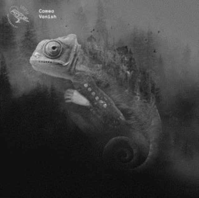 CAMEA | VANISH | 12IN VINYL