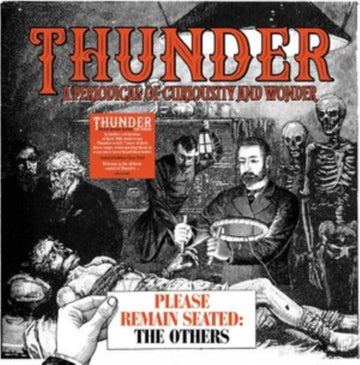THUNDER | PLEASE REMAIN SEATED - THE OTHERS | VINYL RECORD (LP)