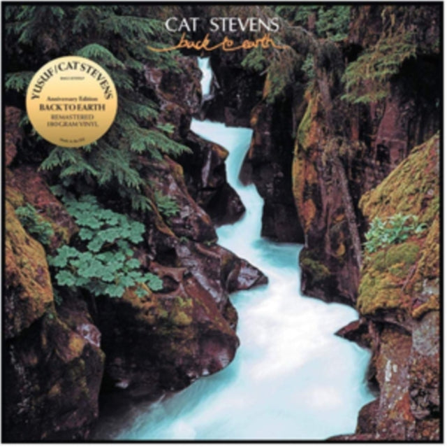 STEVENS, CAT | BACK TO EARTH | 12IN VINYL