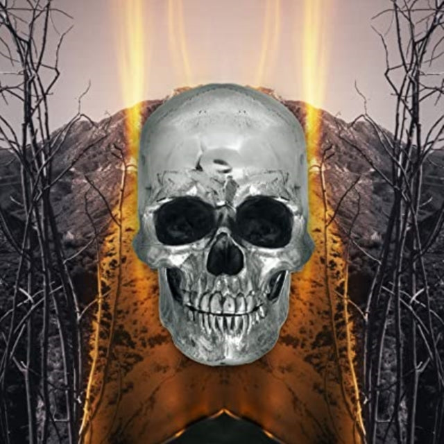 NEVERLY BOYS | DARK SIDE OF EVERYTHING | VINYL RECORD (LP)