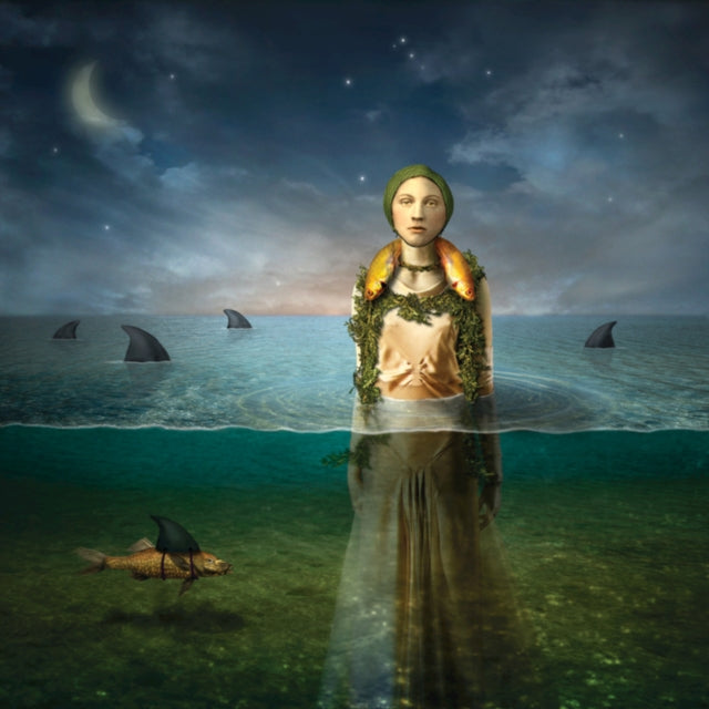BLED | FOUND IN THE FLOOD (LIMITED EDITION) | VINYL RECORD (LP)