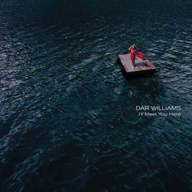 WILLIAMS, DAR | I'LL MEET YOU HERE | VINYL RECORD (LP)