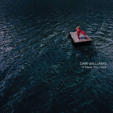 WILLIAMS, DAR | I'LL MEET YOU HERE | VINYL RECORD (LP)