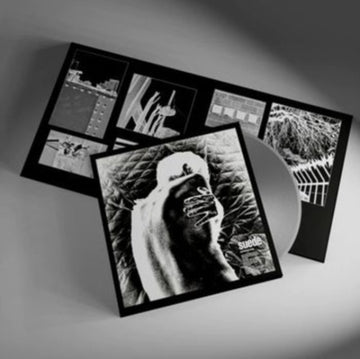 AUTOFICTION | VINYL RECORD (LP)