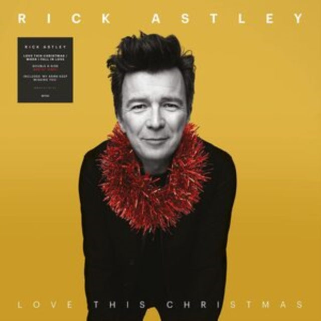 ASTLEY, RICK | LOVE THIS CHRISTMAS / WHEN I FALL IN LOVE | VINYL RECORD (LP)