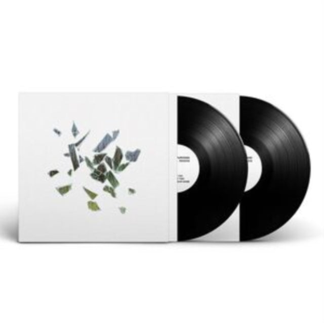 THESE NEW PURITANS | FIELD OF REEDS (2LP) | VINYL RECORD (LP)