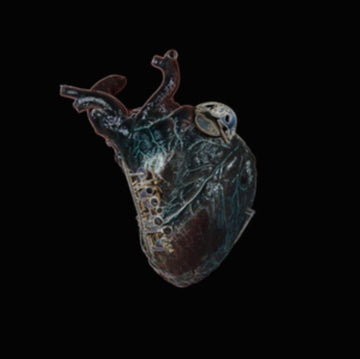 BLAKE, SEAMUS | GUARDIANS OF THE HEART MACHINE | VINYL RECORD (LP)