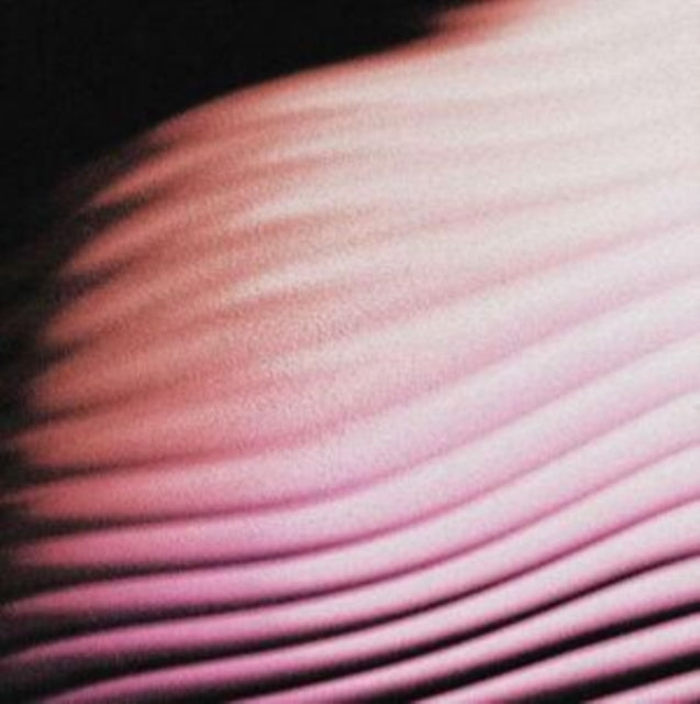POLAR | EVERYTHING, EVERYWHERE | VINYL RECORD (LP)