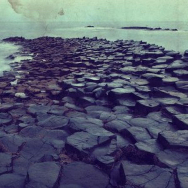 FARFLUNG | UNWOUND CELLULAR FROWN | VINYL RECORD (LP)