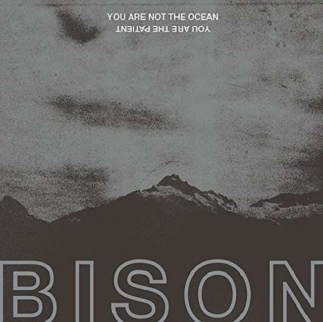 BISON | YOU ARE NOT THE OCEAN YOU ARE THE PATIENT | VINYL RECORD (LP)