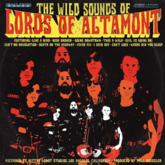 LORDS OF ALTAMONT | WILD SOUNDS OF LORDS OF ALTAMONT | VINYL RECORD (LP)