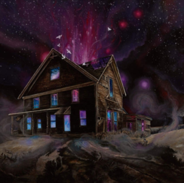 ANCESTORS | SUSPENDED IN REFLECTIONS | VINYL RECORD (LP)