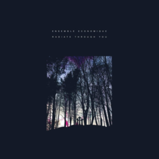 ENSEMBLE ECONOMIQUE | RADIATE THROUGH YOU | 12IN VINYL