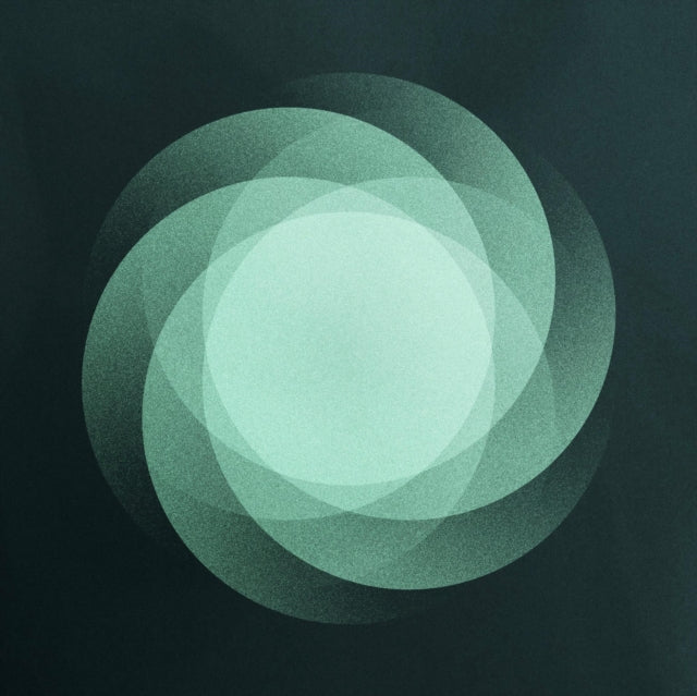 SOM | SHAPE OF EVERYTHING | VINYL RECORD (LP)