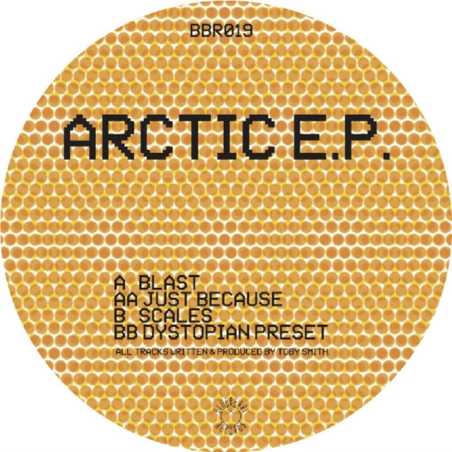 SECRET STATIC | ARCTIC EP | 12IN VINYL