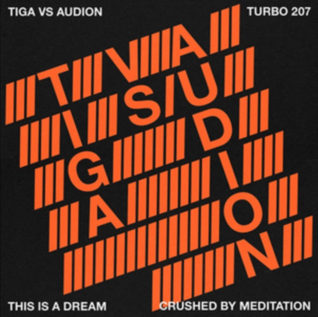 UNKNOWN | THIS IS A DREAM CHASED BY MEDITATION | VINYL RECORD (LP)