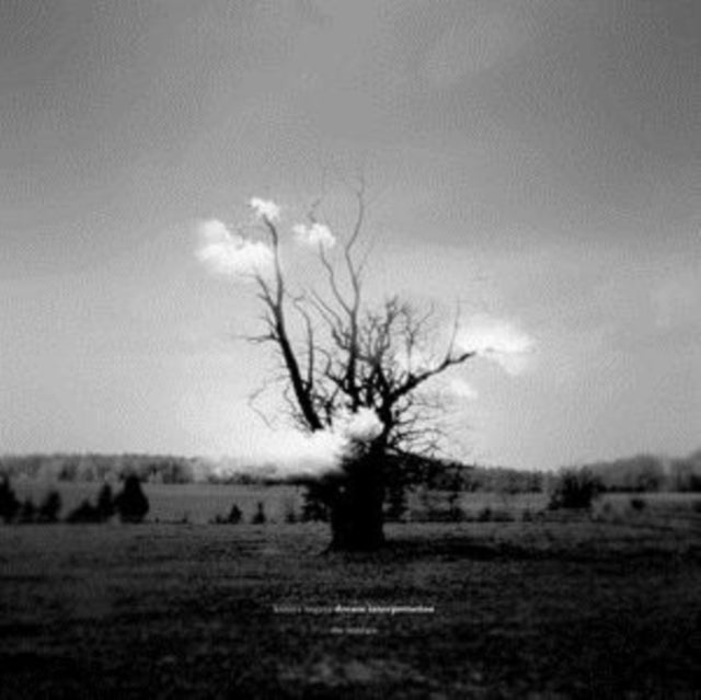 NAGAYA, KAZUYA | DREAM INTERPRETATION (THE REMIXES) | VINYL RECORD (LP)