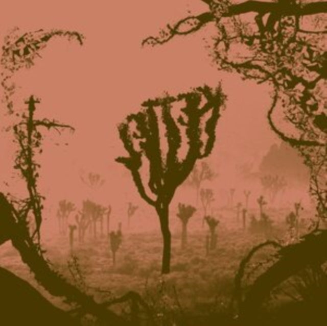 KETTEL | MY DOGAN | VINYL RECORD (LP)