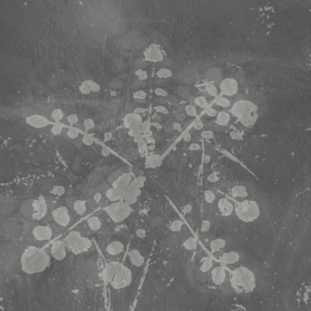 SABLA | MUSIC FOR MELTED FLOORS | VINYL RECORD (LP)