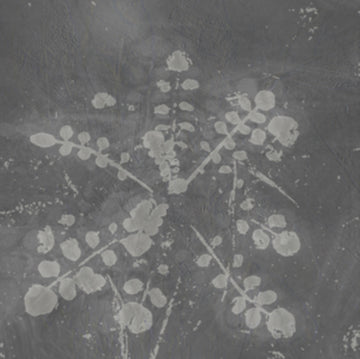 SABLA | MUSIC FOR MELTED FLOORS | VINYL RECORD (LP)