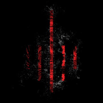 DUBFIRE | EVOLV 95LP) | VINYL RECORD (LP)