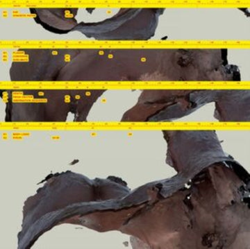 AWE KID | BODY LOGIC | VINYL RECORD (LP)