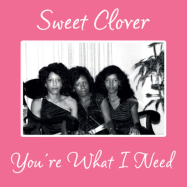 SWEET CLOVER | YOU'RE WHAT I NEED | 12IN VINYL