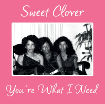 SWEET CLOVER | YOU'RE WHAT I NEED | 12IN VINYL