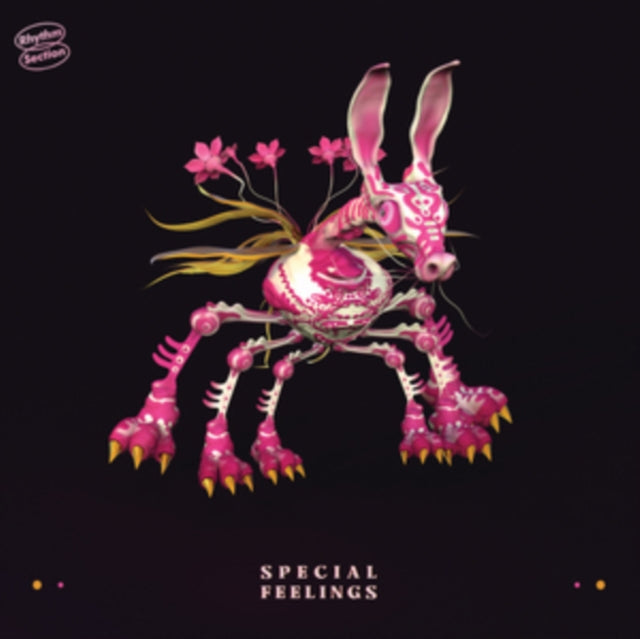 SPECIAL FEELINGS | SPECIAL FEELINGS | VINYL RECORD (LP)