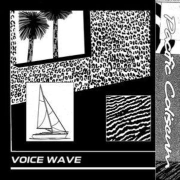 VOICE WAVE (2LP) | VINYL RECORD (LP)
