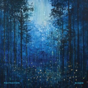 BLOOM | 12IN VINYL
