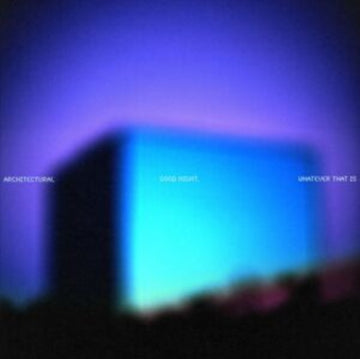 GOOD NIGHT, WHATEVER THAT IS | 12IN VINYL