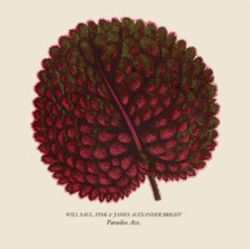PARADISE AVE | 12IN VINYL