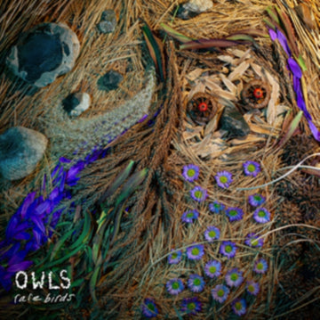 RARE BIRDS | VINYL RECORD (LP)