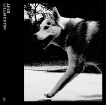 DRIFT | VINYL RECORD (LP)