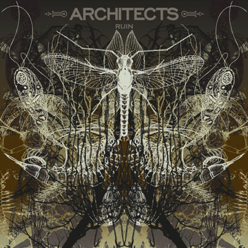 RUIN (LIMITED/PICTURE DISC) | VINYL RECORD (LP)