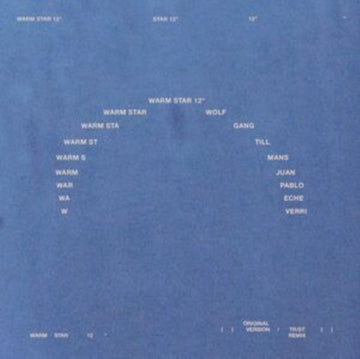 WARM STAR | VINYL RECORD (LP)
