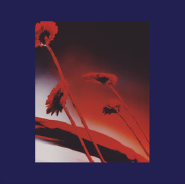 NOTHING EVER WAS: COMPILED BY DJ SUNDAE | VINYL RECORD (LP)