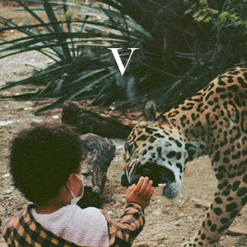 V | MUSIC CASSETTE