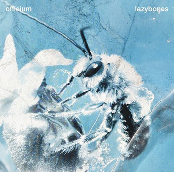 LAZYBONES (IMPORT) | VINYL RECORD (LP)