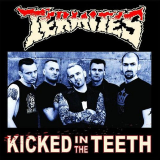 TERMITES | KICKED IN THE TEETH | VINYL RECORD (LP)