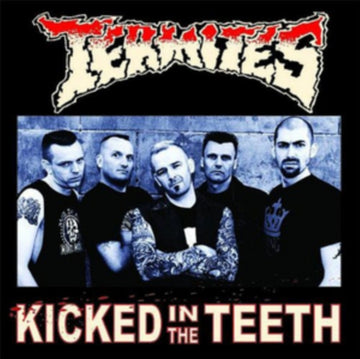TERMITES | KICKED IN THE TEETH | VINYL RECORD (LP)