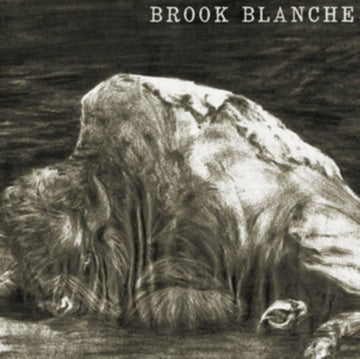 BLANCHE, BROOK | BROOK BLANCHE | VINYL RECORD (LP)